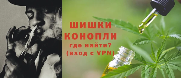 стаф Няндома