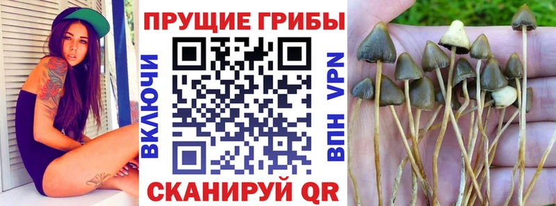 Галлюциногенные грибы MAGIC MUSHROOMS  Кинель 