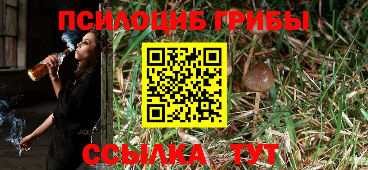 Кинель  Псилоцибиновые грибы MAGIC MUSHROOMS  Вход с VPN  Псилоцибиновые грибы Magic Shrooms 