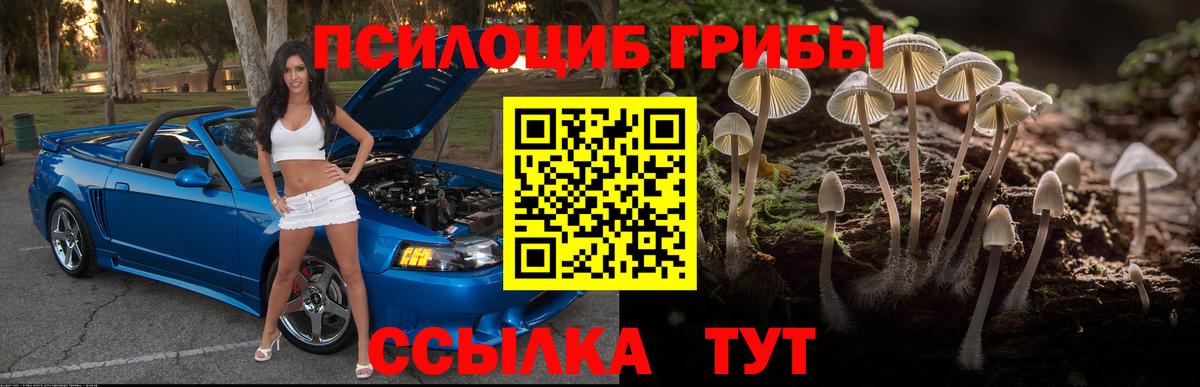 Псилоцибиновые грибы Psilocybine cubensis Кинель